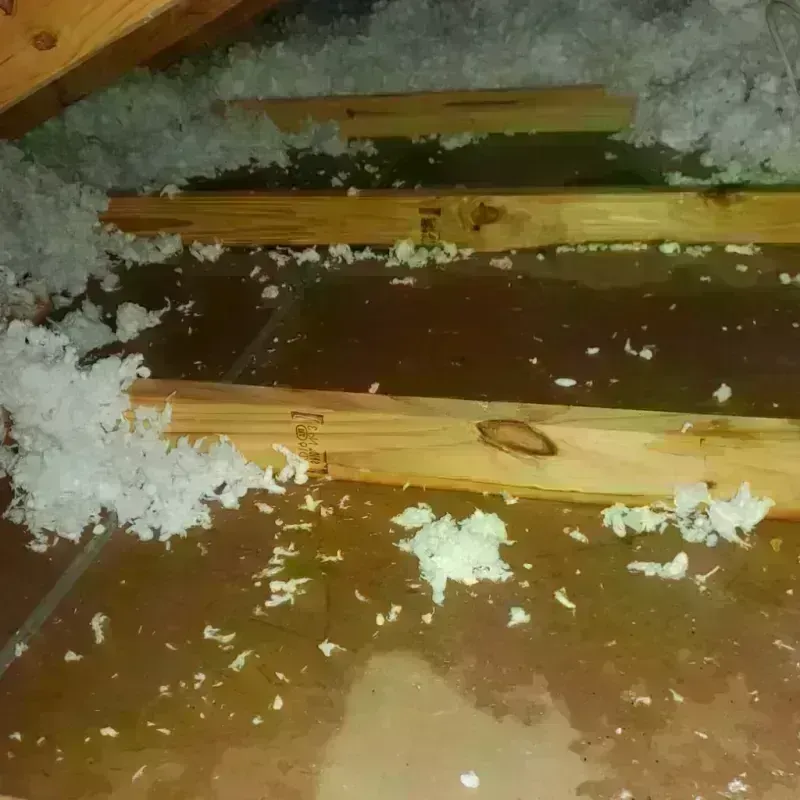 Attic Water Damage in Ridgewood, NY